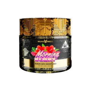 Morning Glory