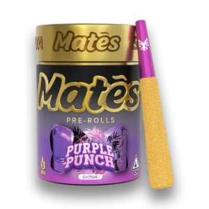 Purple Punch